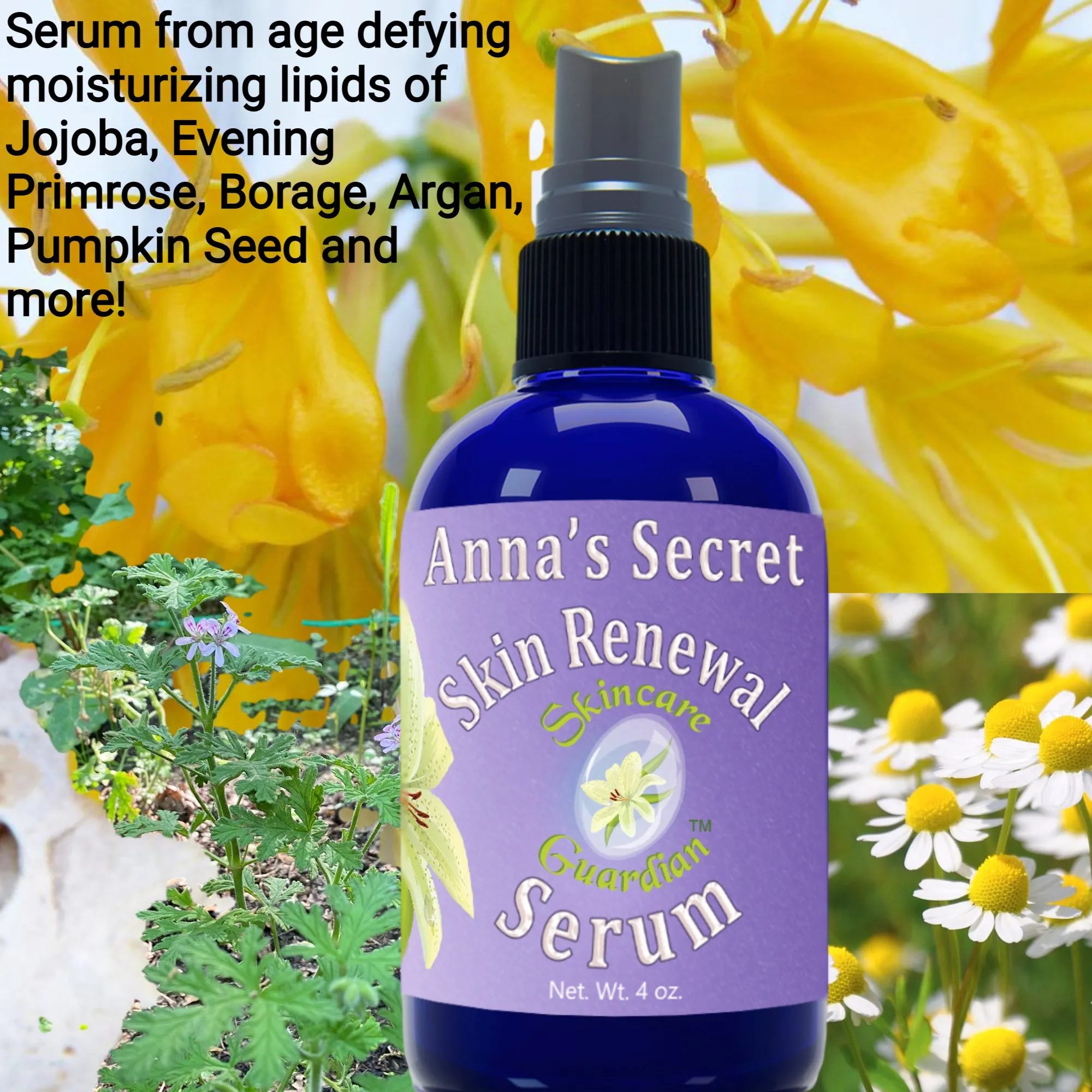 Anna's Secret Skin Renewal Serum