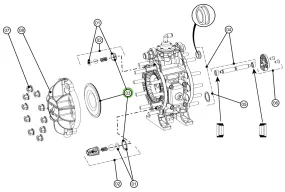 Binks DXK-3 Diaphragm Kit