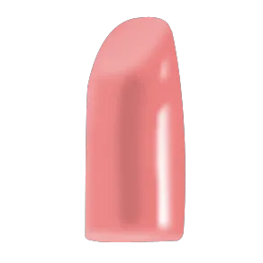 Blush Makeup Cosmetics Lipstick