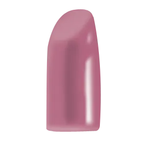 Blush Makeup Cosmetics Lipstick