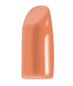 Blush Makeup Cosmetics Lipstick