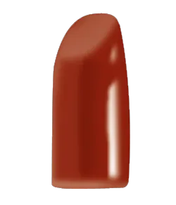 Blush Makeup Cosmetics Lipstick