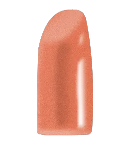 Blush Makeup Cosmetics Lipstick