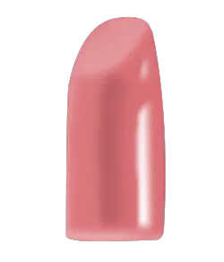 Blush Makeup Cosmetics Lipstick