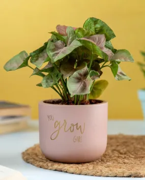 You Grow Girl Terracotta Planter | 5 x 4 inches